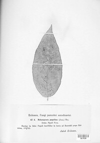 Image Associated With the Occurence